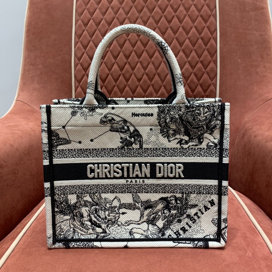 디올 북토트백