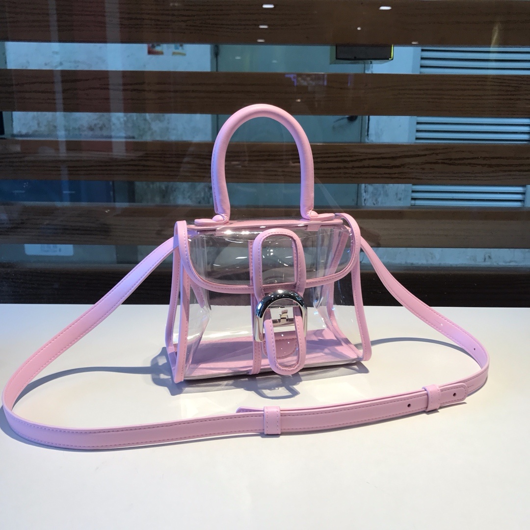 델보 브리앙엑스레이백
