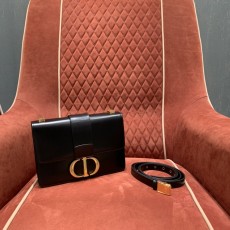 디올 30몽테인백