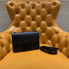 디올 30몽테인백