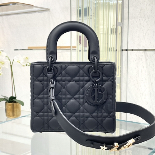 디올 레이디백스몰