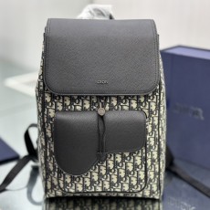 디올 새들백팩