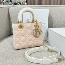 디올 레이디백스몰