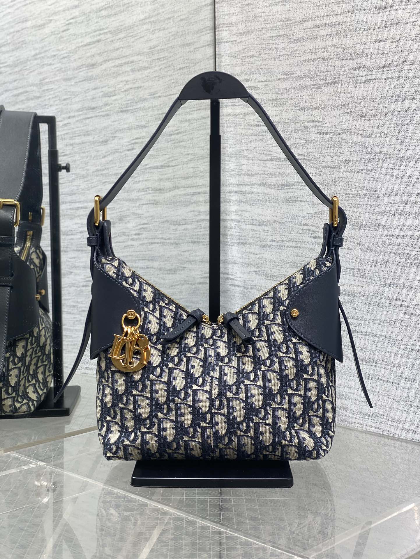 디올 보야지스몰백