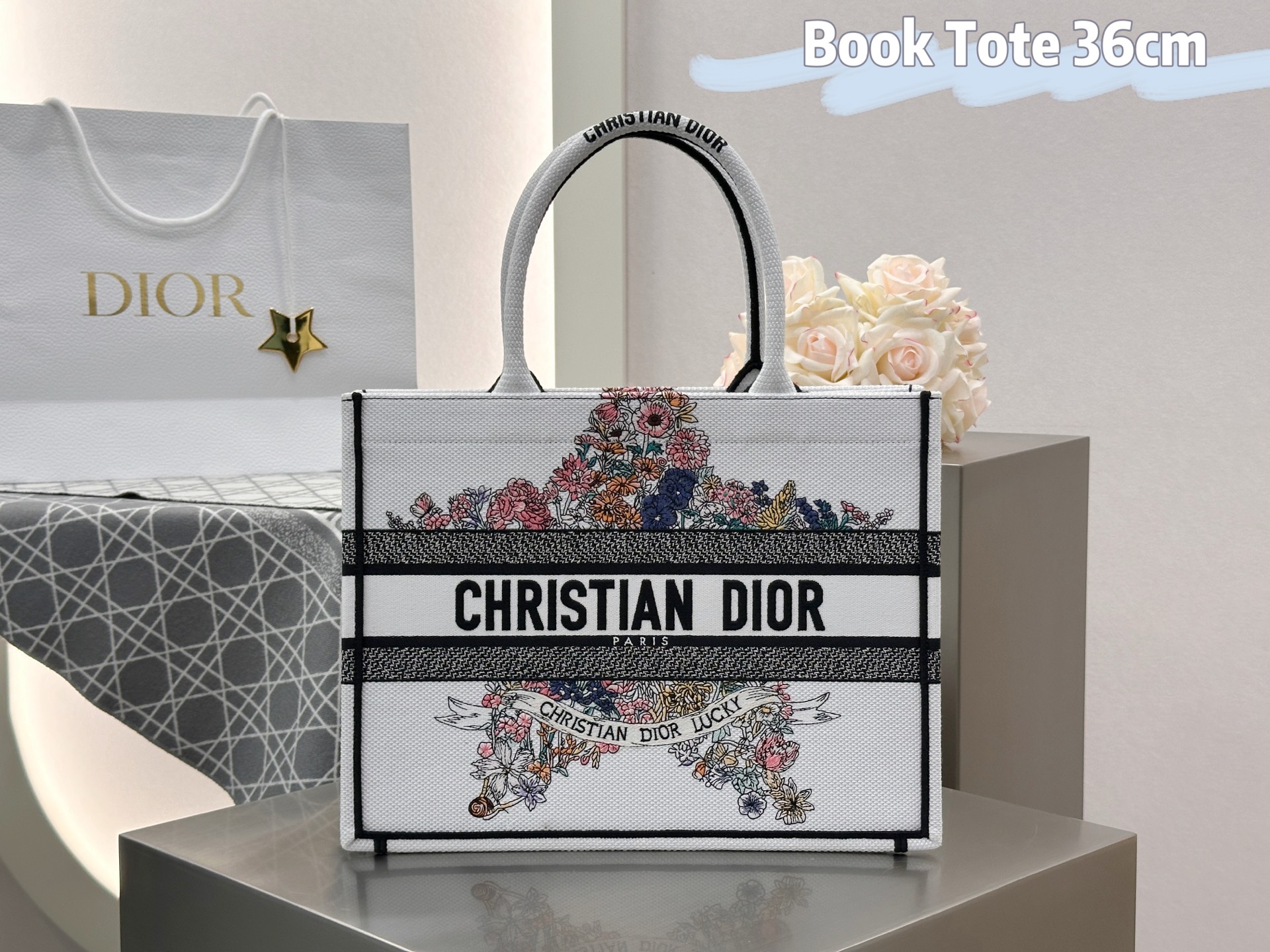 디올 북토트백미디엄