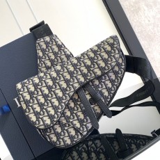 디올 새들크로스백