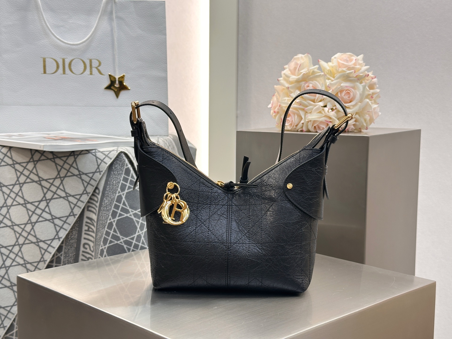 디올 보야지스몰백