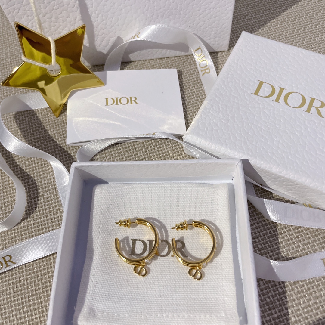 디올 귀걸이